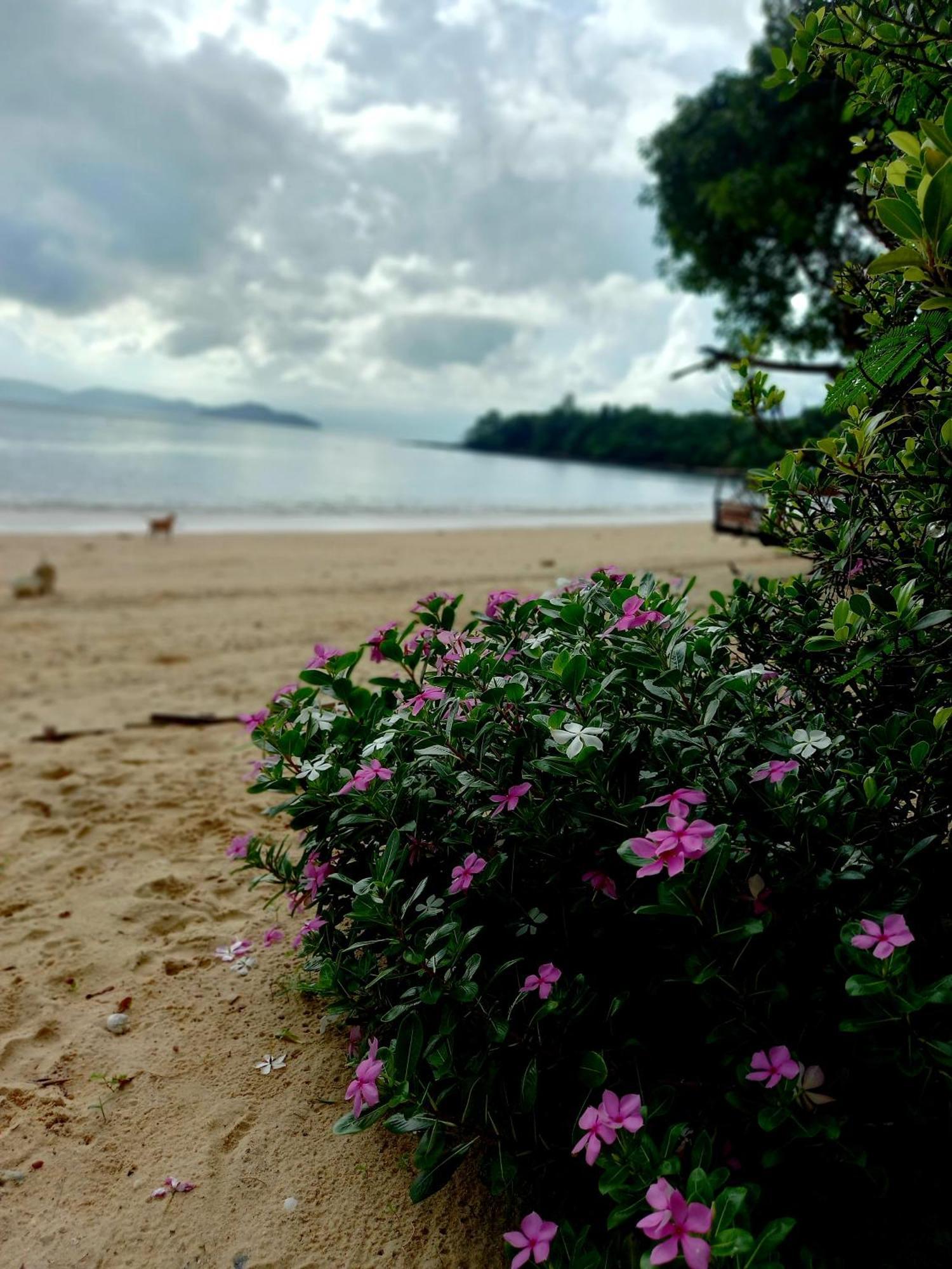 Sabai Sabai लॉज Koh Phayam